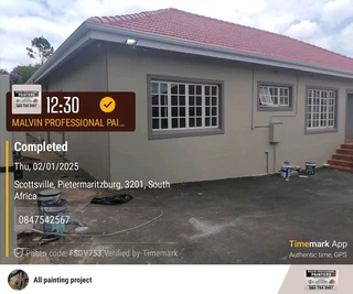 PROFESSIONAL PAINTERS