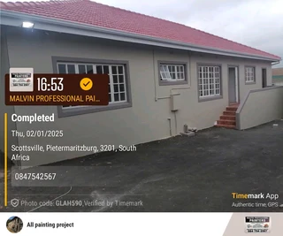 Professional Painters