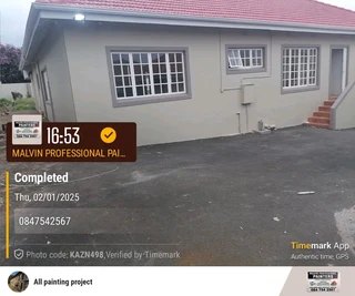 PROFESSIONAL PAINTERS