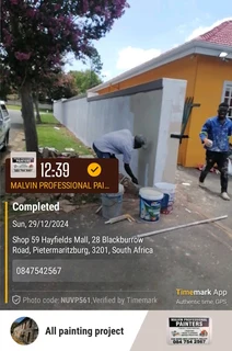 PROFESSIONAL PAINTERS