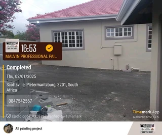 PROFESSIONAL PAINTERS