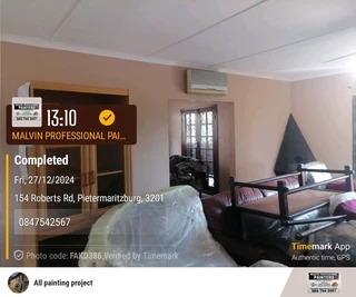 Professional Painters