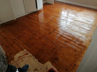 PROFESSIONAL PAINTERS