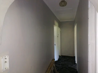 PROFESSIONAL PAINTERS