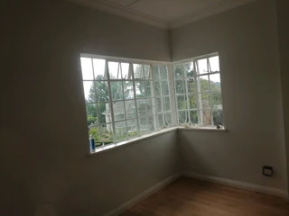 PROFESSIONAL PAINTERS