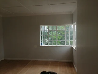 PROFESSIONAL PAINTERS