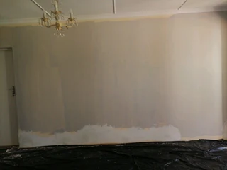 Professional Painters