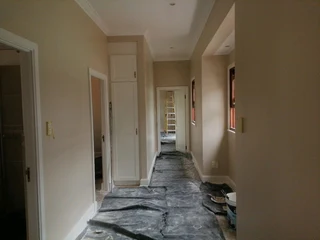 Professional Painters