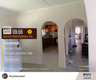 PROFESSIINAL PAINTERS