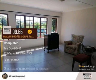 PROFESSIINAL PAINTERS