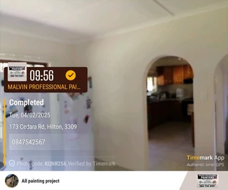 PROFESSIINAL PAINTERS