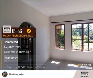 Professiinal Painters