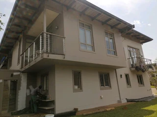 PROFESIONAL PAINTERS