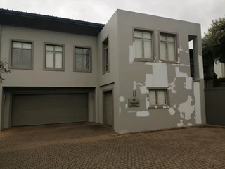 PROFESIONAL PAINTERS