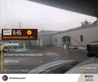 Professional Painters