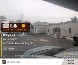 PROFESSIONAL PAINTERS