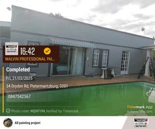 PROFESSIONAL PAINTETS