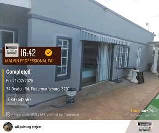 Professional Paintets