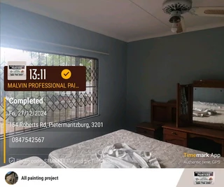 PROFESSIONAL PAINTERS