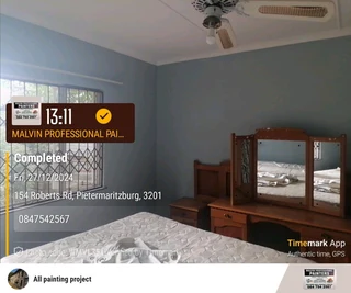 Professional Painters