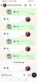 PROFESSIONAL PAINTERS