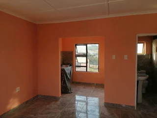 Professional Painters