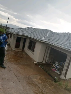 PROFESSIONAL PAINTERS