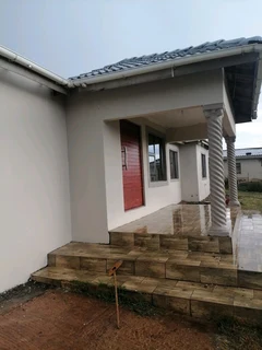 PROFESSIONAL PAINTERS