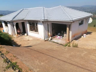 PROFESSIONAL PAINTERS