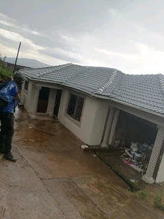 PROFESSIONAL PAINTERS