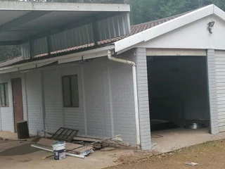 PROFESSIONAL PAINTERS