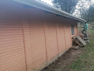 PROFESSIONAL PAINTERS