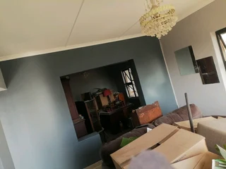 PROFESSIONAL PAINTERS