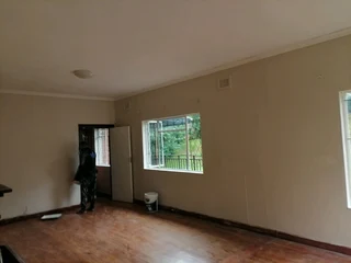 PROFESSIONAL PAINTERS