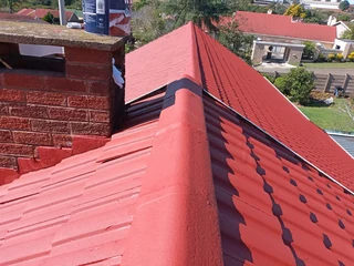 PROFESSIONAL PAINTERS