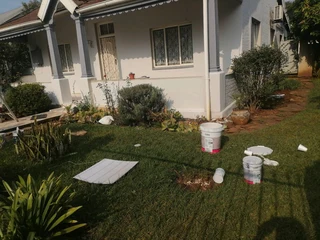 PROFESSIONAL PAINTERS