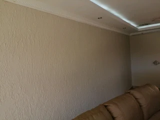 Professional Painters