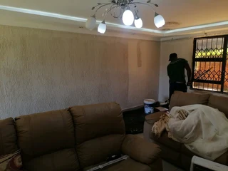 PROFESSIONAL PAINTERS