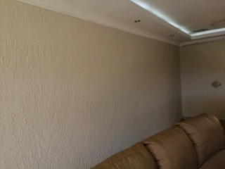 PROFESSIONAL PAINTERS