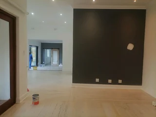 PROFESSIONAL PAINTERS