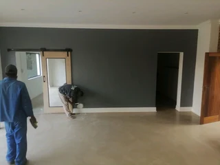 PROFESSIONAL PAINTERS