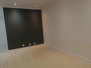 Professional Painters