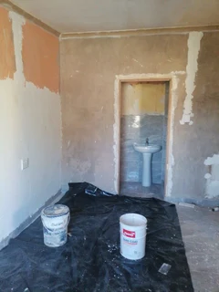 PROFESSIONAL PAINTERS