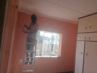 PROFESSIONAL PAINTERS