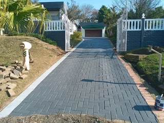 PROFESSIONAL PAINTERS