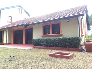 PROFESSIONAL PAINTERS