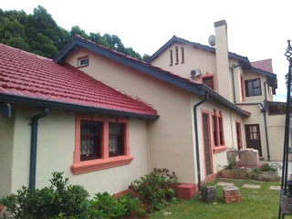 PROFESSIONAL PAINTERS