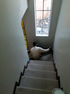 PROFESSIONAL PAINTERS