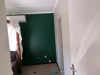 Professional Painters