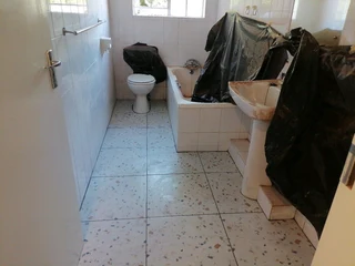 PROFESSIONAL PAINTERS